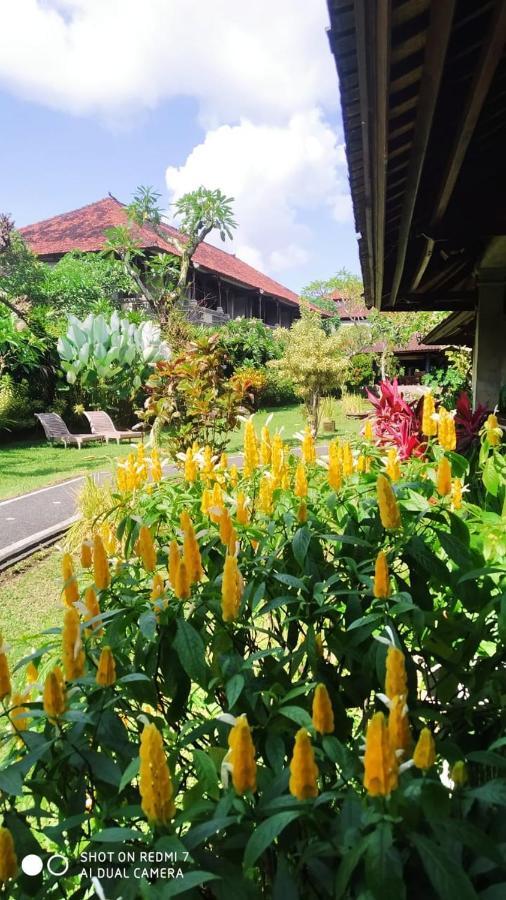 Puri Padi Hotel Ubud Exterior foto
