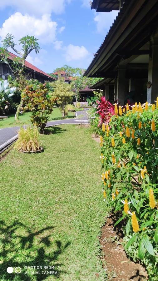 Puri Padi Hotel Ubud Exterior foto